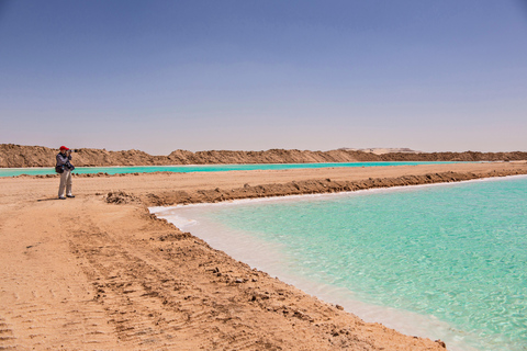 From Cairo: Sulfur &amp; Salt Lake Swim, Safari, Siwa Oasis TourSmall Group Tour from Cairo