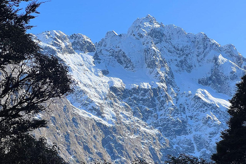 Te Anau: Lake Marian Guided Day Hike with Lunch