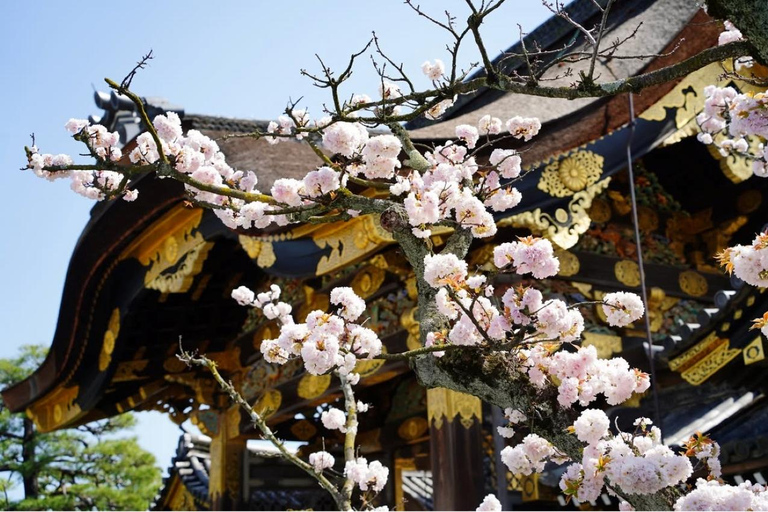 Kyoto/Osaka: Nijo Castle, Arashiyama, Kinkakuji Day Tour Kyoto Full Day Tour | Depart from Kyoto 9:00 AM