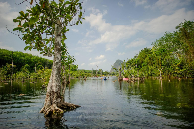 Krabi: Klong Root Kayaking Tour with Swim Stop