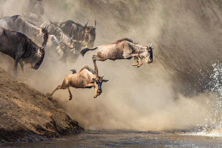 Safári de 3 dias em Masai Mara em um Land Cruiser 4X4 com teto aberto