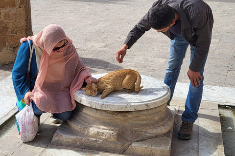 Tunis erkunden: Historische Medina und das charmante Sidi Bou Said