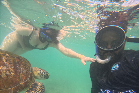 Mirissa: Guided Sea Turtle Snorkeling Experience