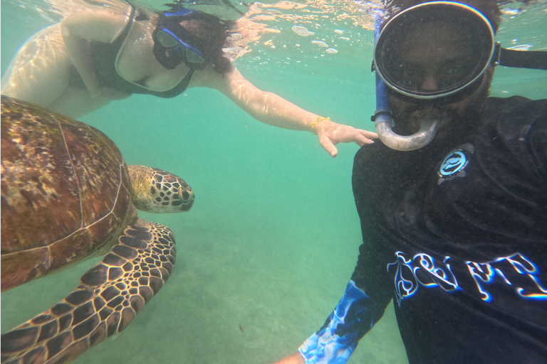 Mirissa: Guided Sea Turtle Snorkeling Experience