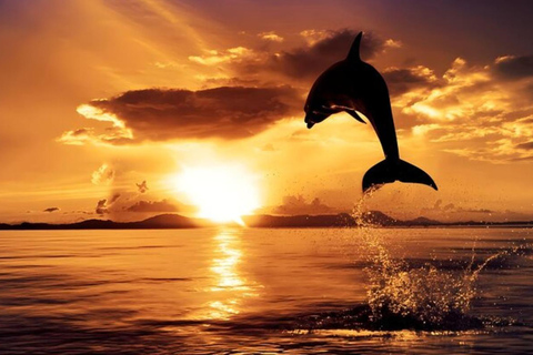 Bali: Lovina Dolphin Watching, Sekumpul Waterfall & Lunch Lovina Dolphin Watching, Sekumpul Waterfall & Lunch