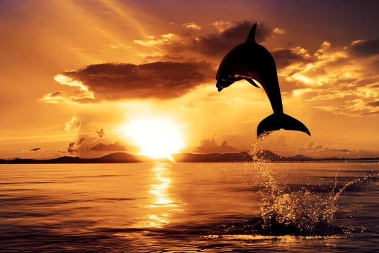 Bali: Lovina Dolphin Watching, Sekumpul Waterfall & Lunch Lovina Dolphin Watching, Sekumpul Waterfall & Lunch