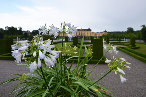 Stockholm: Grand Drottningholm and Gripsholm Castles Tour