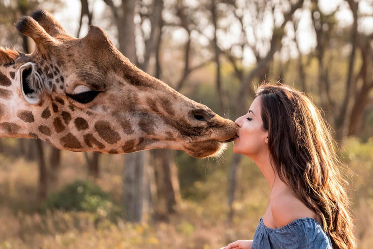 Depuis Nairobi : perles de Kazuri, centre pour bébés éléphants et girafes