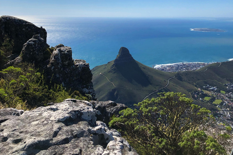 Cape Town: Skeleton Gorge Hike to Table Mountain Summit