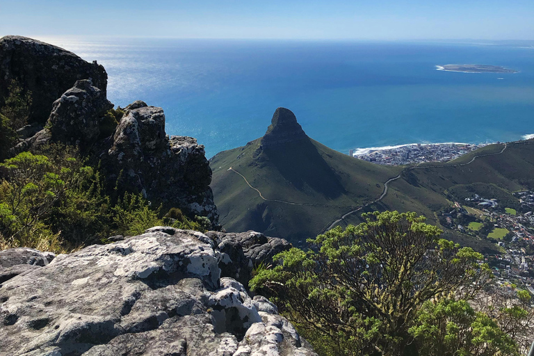 Cape Town: Skeleton Gorge Hike to Table Mountain Summit