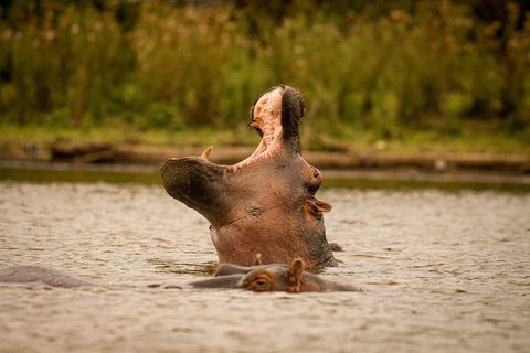 2 Daags Lake Nakuru en Lake Naivasha Safari Arrangement