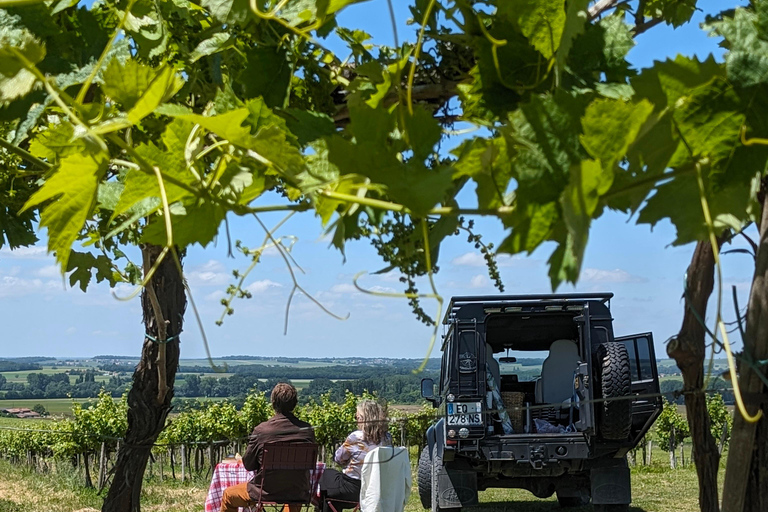 Privé rondleiding Dag in het hart van de Cognac wijngaarden