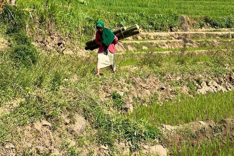 Selogriyo Temple and Java Rice Terrace Guided Trekking Tour Selogriyo Temple Java Rice Terrace Guided Trekking Tour