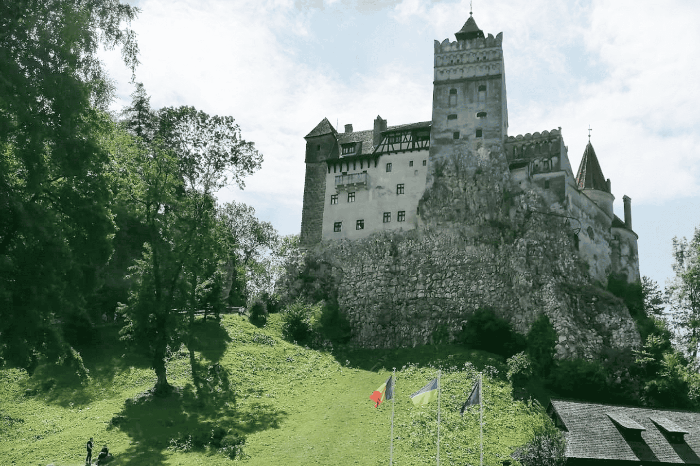Legends&Wildlife Awaits: Dracula's Castle & Bear Sanctuary