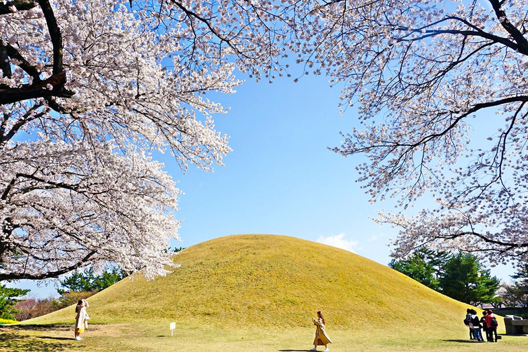 Busan: Spring Cherry Blossom & Gyeongju Highlights Day Tour