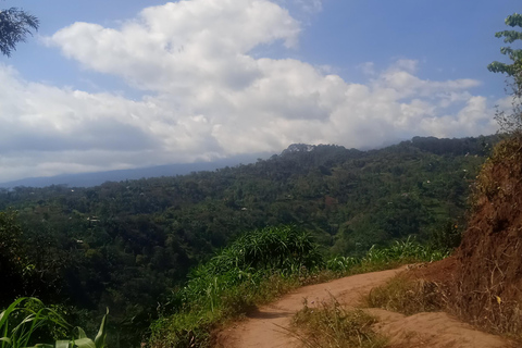 Moshi: Materuni Waterfall and Kikuletwa Hot Springs Day …