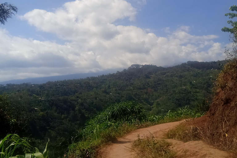 Moshi: Cachoeira de Materuni e dia nas fontes termais de Kikuletwa ...