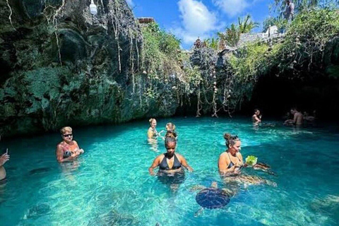 Zanzibar: Mnemba Dolphin, Jozani Forest & Turtle Sanctuary Private Tour without Hotel transfer