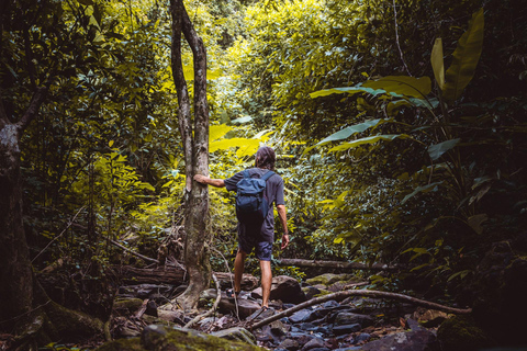 Khlong Sok: Khao Sok watervallen en wilde dieren halve dag trekPrivé Avontuur