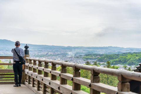 Osaka: Nara Private Day Tour
