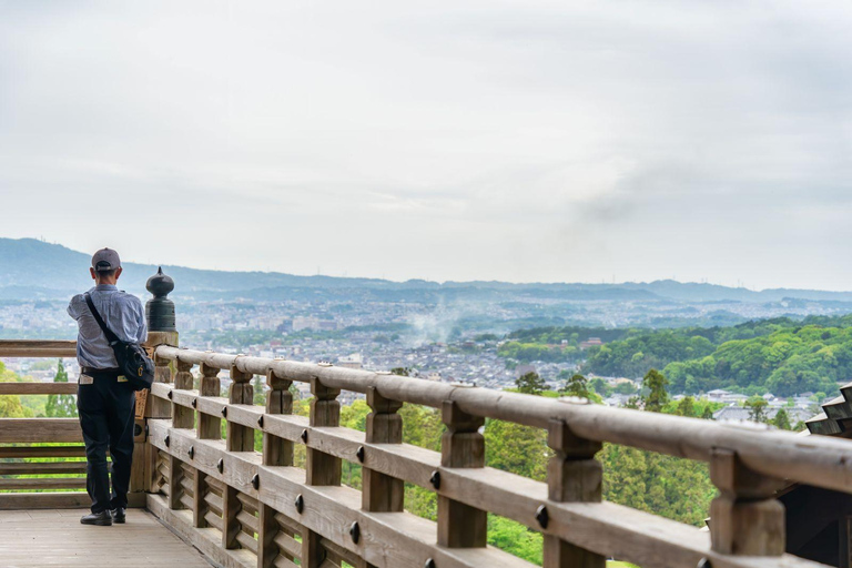 Osaka: Nara Private Day Tour