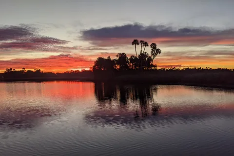 Cruzeiro ao pôr do sol em Crystal River