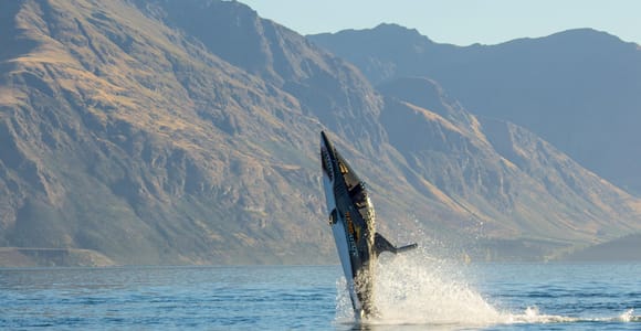Queenstown: Hydro Attack Shark Ride