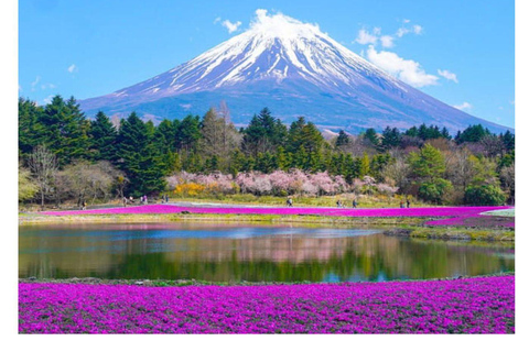 Tokio: Unmissbale Tour Privado De Un Día Al Monte Fuji y Lagos