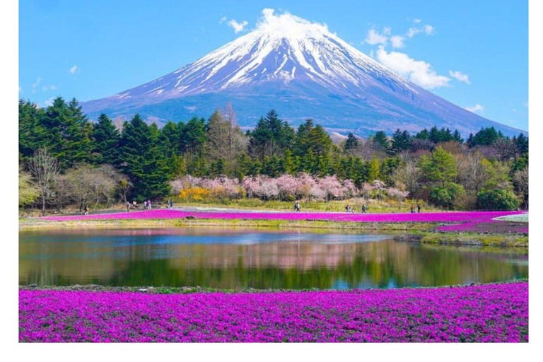 Tokyo: Tour privato di una giornata imperdibile al Monte Fuji e ai laghi