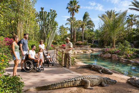 Agadir: Crocoparc & Goats in Argan Trees - Family Day Out