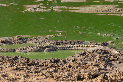 Circuit de 2 jours au Sri Lanka : 3 parcs nationaux étonnants + safari fluvial