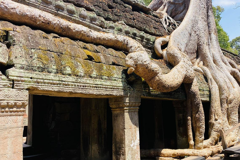 Siem Reap: Angkor Wat Sunrise Tour with Hotel Pickup