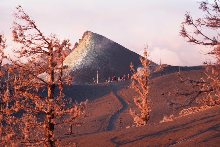 La Palma: New Tajogaite Volcano + Sunset with Picnic New Tajogaite Volcano + Sunset with a Picnic