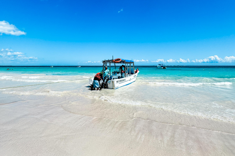 Tulum: Snorkeling at Paradise Reef