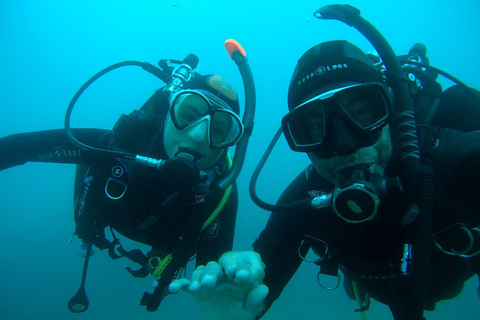 Argelès-sur-Mer : first dive in the Marine Natural Park