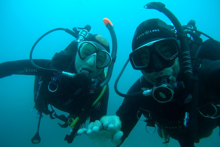 Argelès-sur-Mer: eerste duik in het Marine Natuurpark