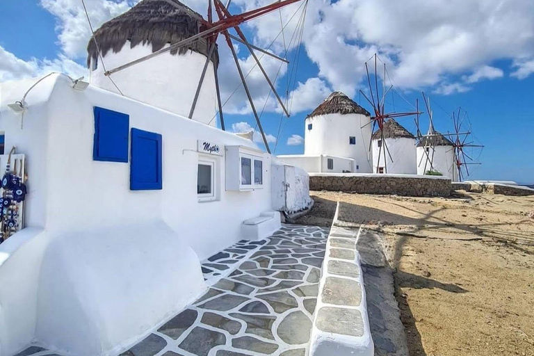 Aventure familiale en jeep à Mykonos : Ferme, vignoble et plage