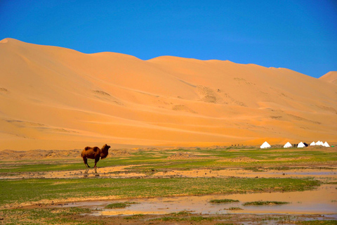 Mongolia: 10 day guided private tour around Mongolia Mongolia: Gobi and Central Mongolia 10-Day Tour