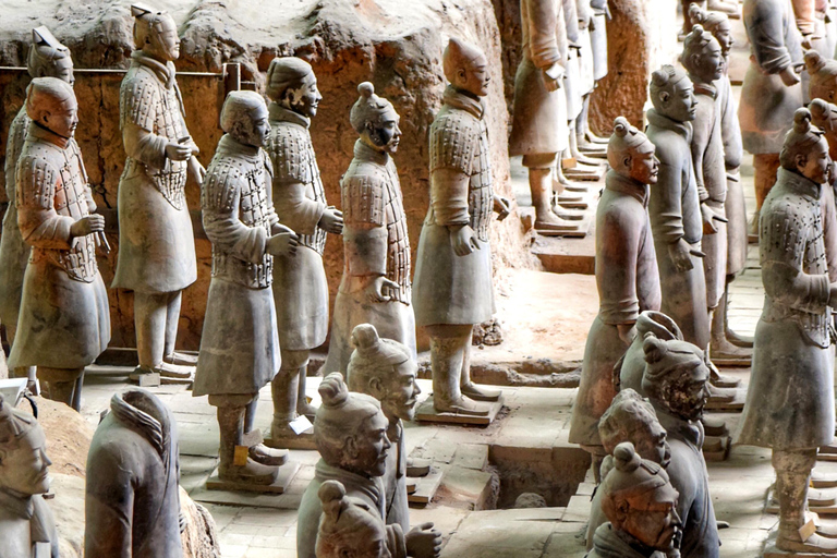 Xi&#039;an clássico: Excursão de ônibus totalmente guiada pelo Exército de TerracotaExcursão de ônibus do Exército de Terracota + Muralha da Cidade Antiga