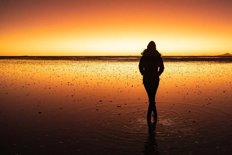 Uyuni : visite d&#039;une journée des salines et de l&#039;île d&#039;Incahuasi