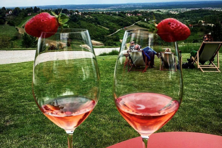 Zagreb: Japetić Viewpoint Hike & Plešivica Wine Tasting
