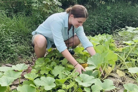 Kochi: Full-Day tour with Temple, Farming & Village Life