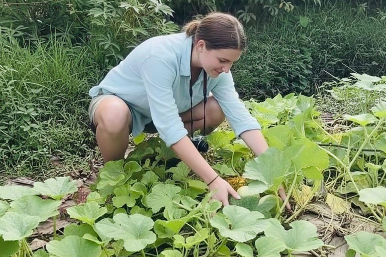 Kochi: Full-Day tour with Temple, Farming & Village Life