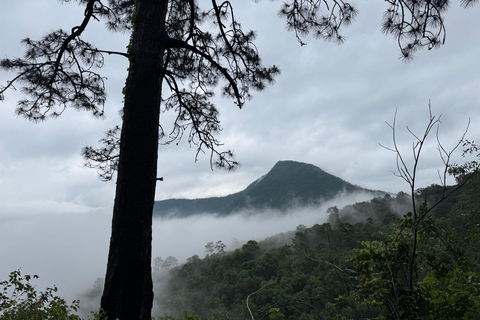 منتزه تشيبينكي الطبيعي - رحلة صباحية / بعد الظهر