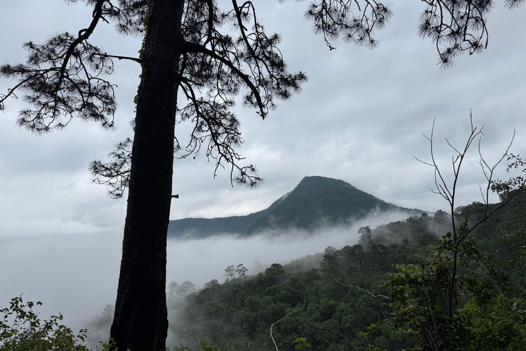 منتزه تشيبينكي الطبيعي - رحلة صباحية / بعد الظهر