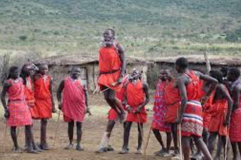Da Nairobi: Escursione di un giorno al villaggio Masai