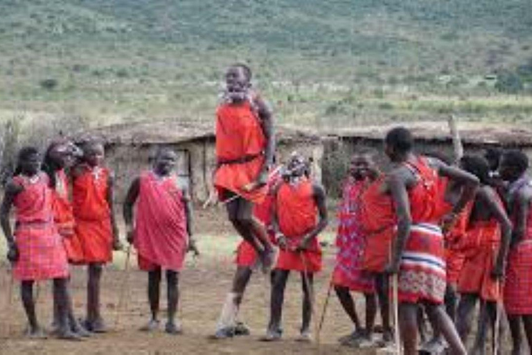 Da Nairobi: Escursione di un giorno al villaggio Masai