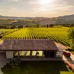 Tour e degustazione di 6 vini in una cantina storica di Montefalco