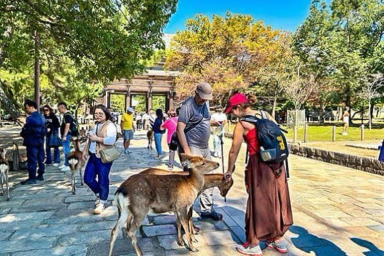 From Osaka/Kyoto: Nara Private Day Tour with Driver/Guide