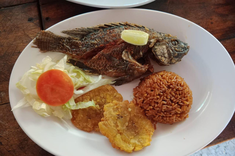 Tour of the Baru viewpoint beach in Cartagena Tour of the beach at the Baru viewpoint in Cartagena